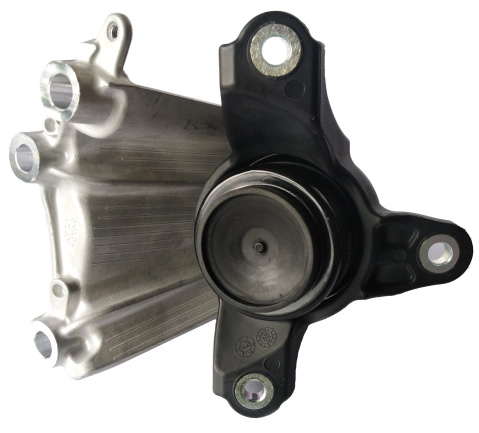 挂画最新版X4转曲