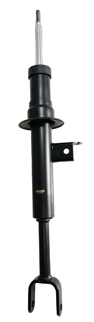 Post Type
